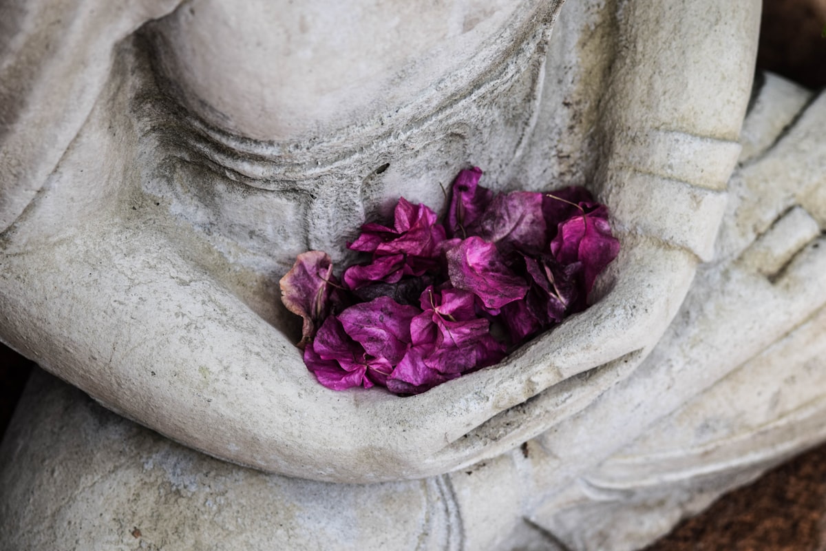 Ayurvedic wellness practices and traditional healing